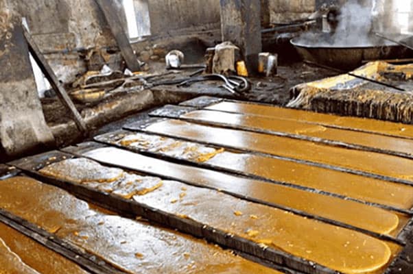 The gud , bad and ugly of jaggery production in India